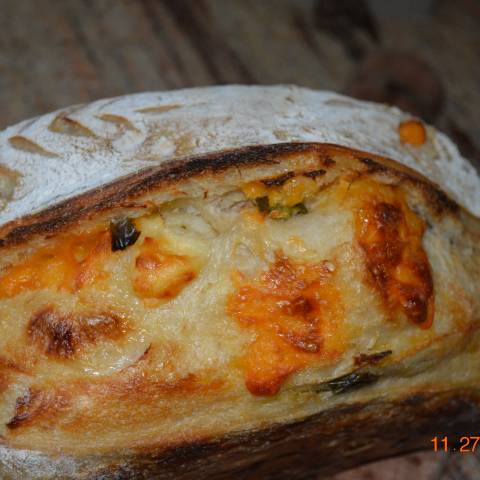 Jalapeno and cheddar