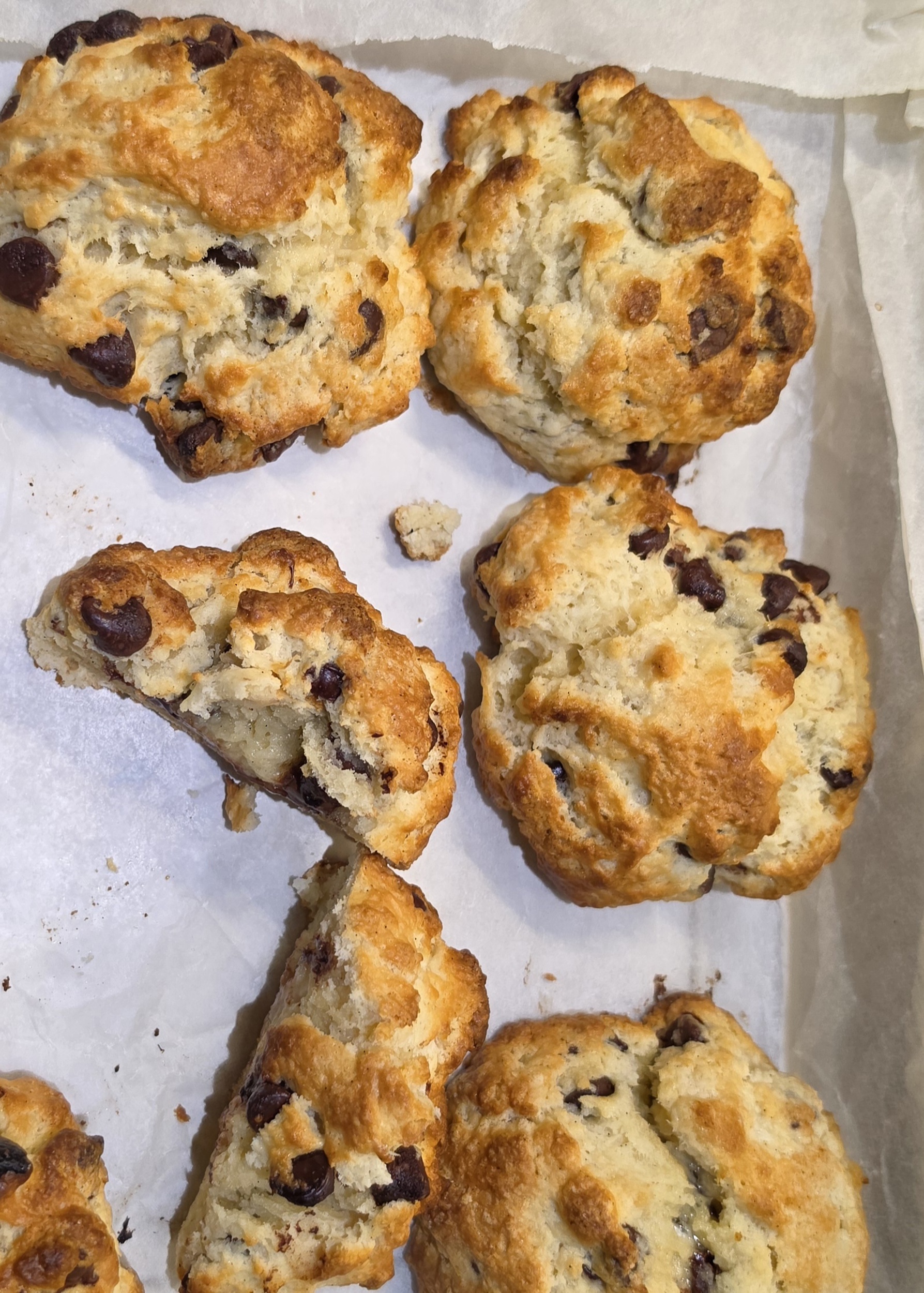 cranberry or chocolate chip